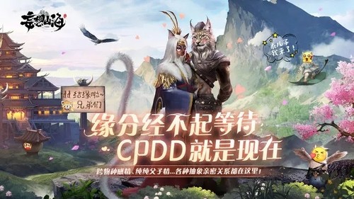 ɽcdkһȫ¿2023(Ч) ɽcdkһ빴