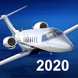 ģ2020İ