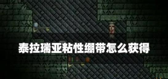 ̩ճԱôˢ ̩ճԱô