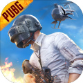 pubgѿֻ  v2.7.0