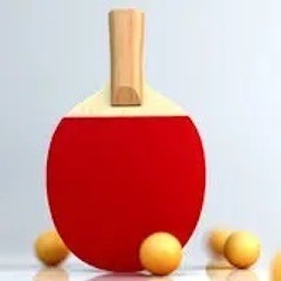 ƹģ˫