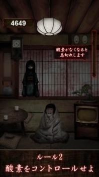 ɽʬ
