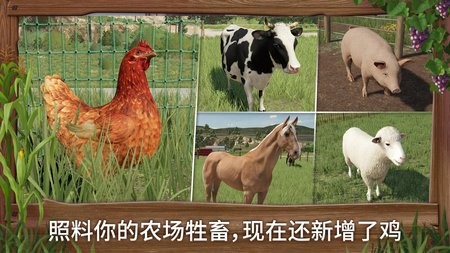 ģũ23޽Ұֻ