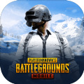 pubgʷعٷ°汾