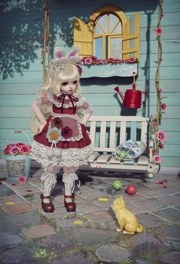 ProjectDollٷ