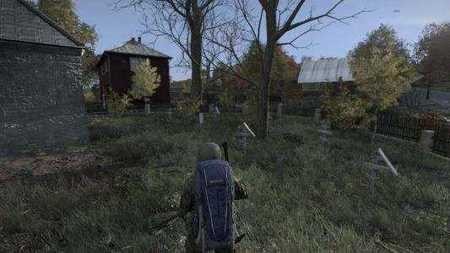 dayzֻİذװ