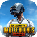 pubgʷ°汾