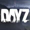 dayzֻذװİ