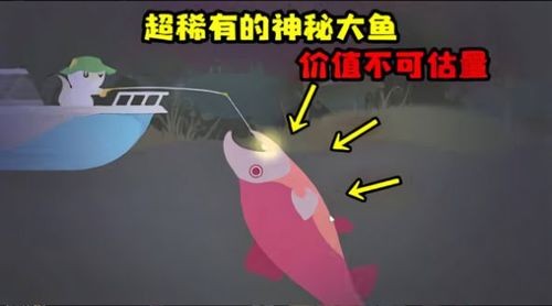 è޹