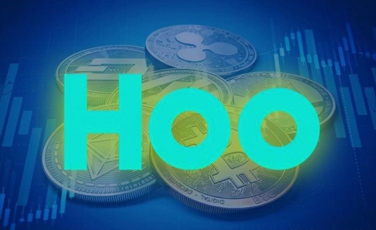 hooƽ̨