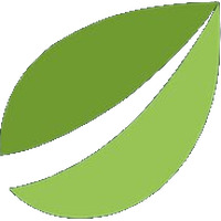 Bitfinexֻ