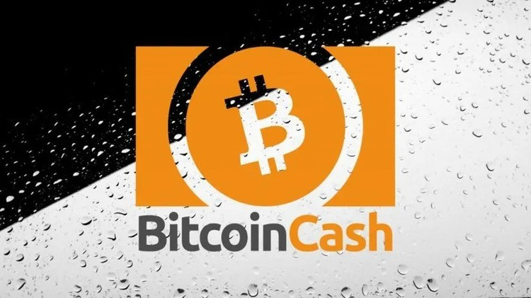 bitcoincashapp