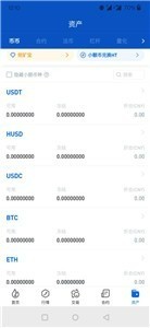 icpusdtapp