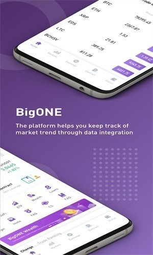 ҸBigOne׿°