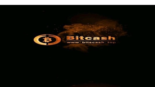 BitcashiosѰ