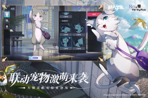ѧ԰ɫʯ