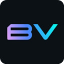 Bigverse