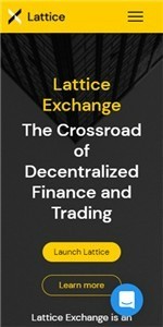 latticeҽֻ