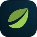 Bitfinex