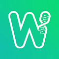 WATTʽ