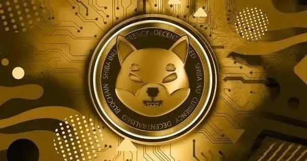 Shibaapp׿