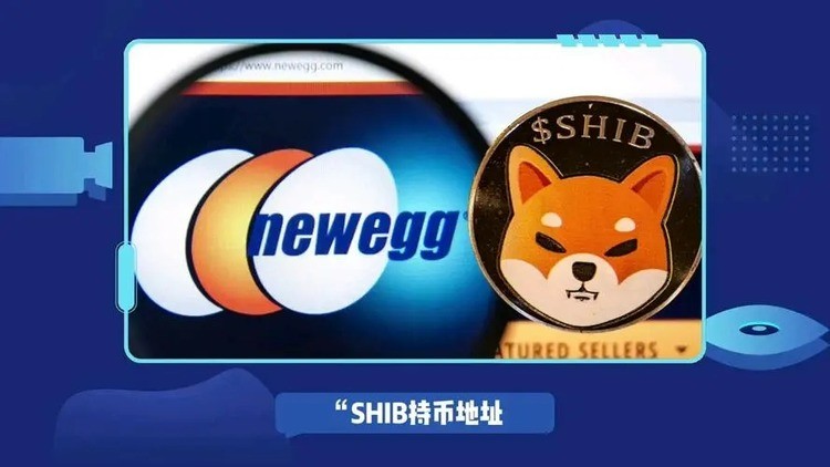 ShibaappѰ
