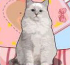 ѹ