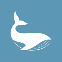 whaleex°汾