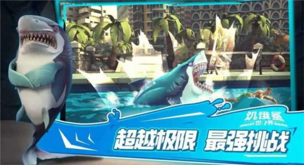 2024