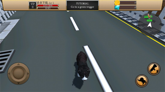 Zoom붯Zoom°汾ذװ