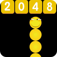 ̰ߴս2048°