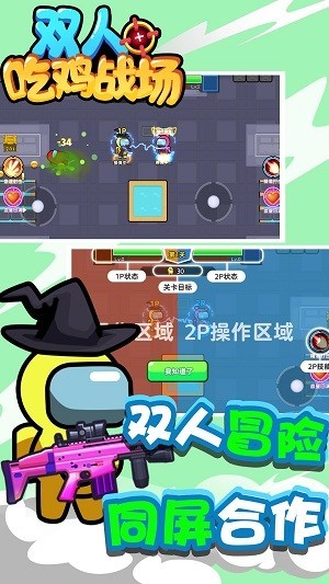 ˫