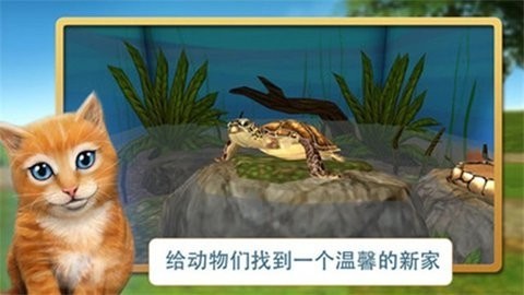 ҵĶԮ׿