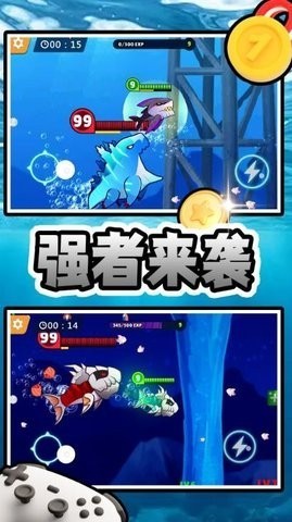 Ծ