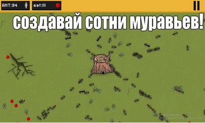 (ants)ֻ