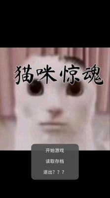 è侪Ϸ
