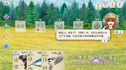 չ᰿ֻ