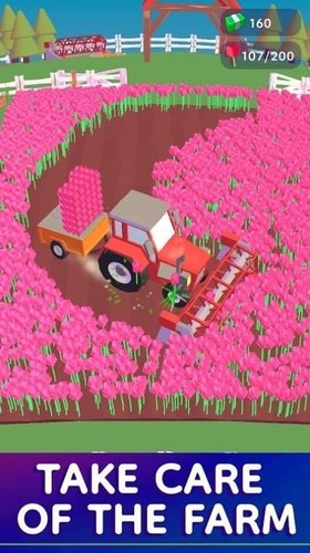 ҵũֻ