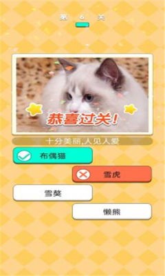 Ķũ氲׿°