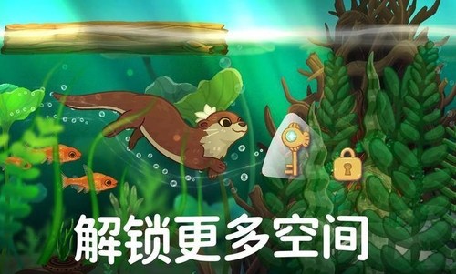 Ȥappٷ
