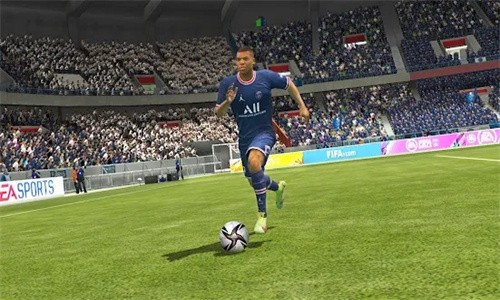 FIFAֻ