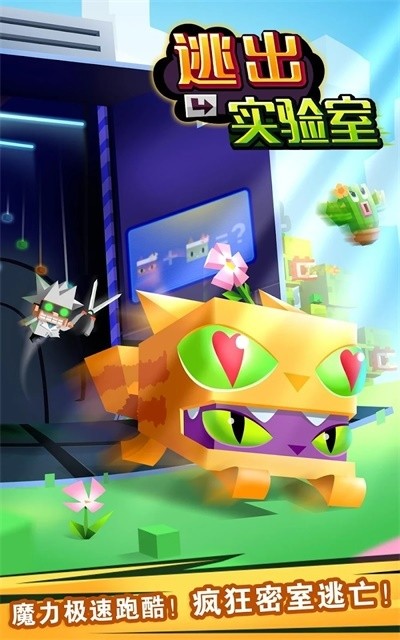 ӳʵ޽
