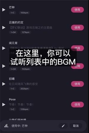 ACE輧ֻذװ