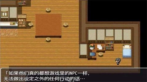 npc2v1.0