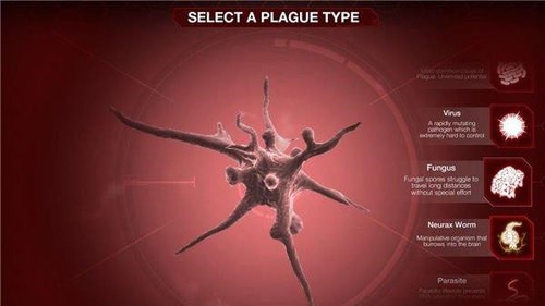 ߹˾2025°