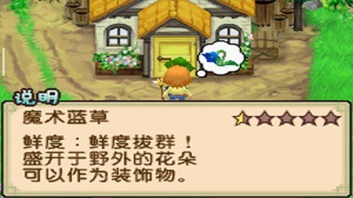 ˫Ӵֻ