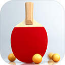 虚拟乒乓球破解版 v1.0
