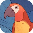 孤独的鸟儿官方版