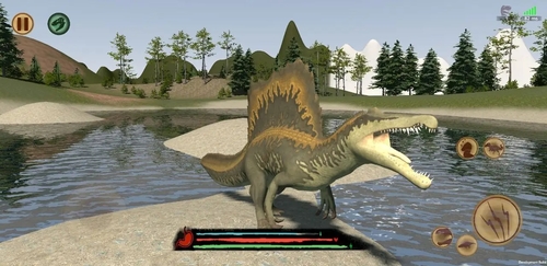 \