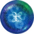 İ氲׿